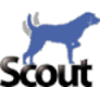 Scout